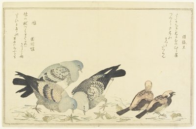 Tree Sparrow and Rock Dove by Kitagawa Utamaro